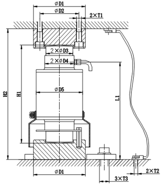 Review xe Loadcell vmsf-d - 2